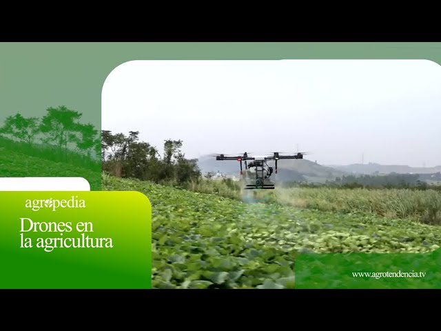Automatizacion-en-la-Agricultura-Drones-para-la-Gestion-de-Cultivos - MT News