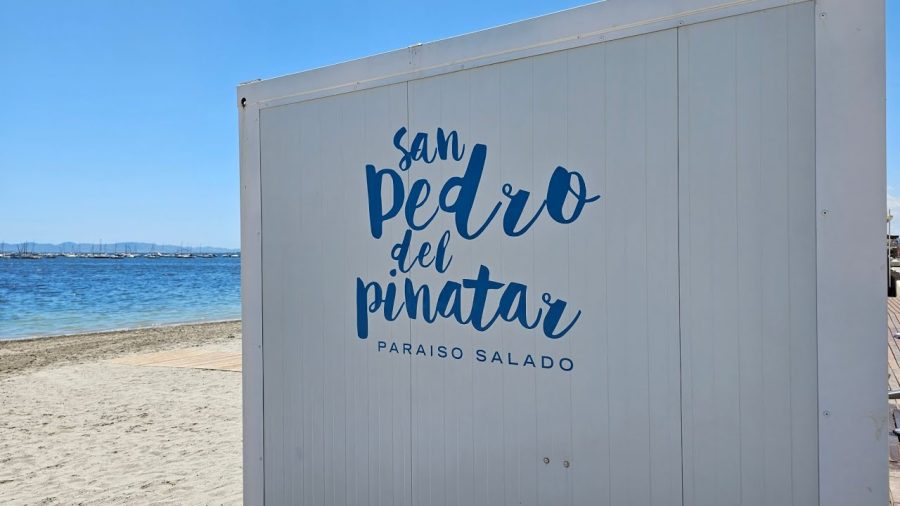 Desarrollador-web-en-San-Pedro-del-Pinatar - MT News