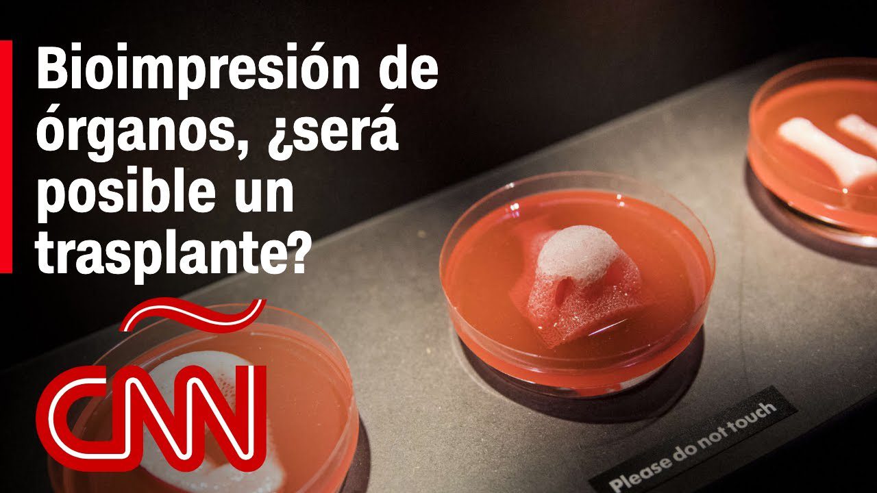 La-Evolucion-de-la-Impresion-3D-en-la-Creacion-de-Organos - MT News