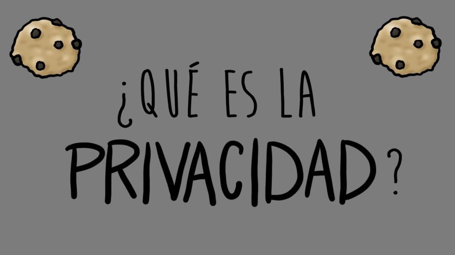 La-Importancia-de-la-Privacidad-en-la-Era-de-los-Datos - MT News