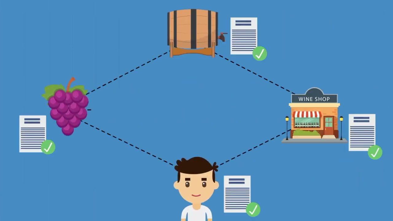 Computacion-Cuantica-en-la-Optimizacion-de-Cadenas-de-Suministro-Alimentarias - MT News