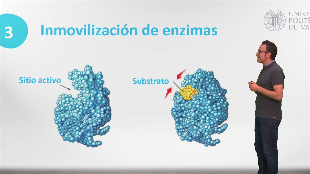 Tecnologia-de-Reconocimiento-de-Olores-Aplicaciones-en-la-Industria-Alimentaria-1 - MT News