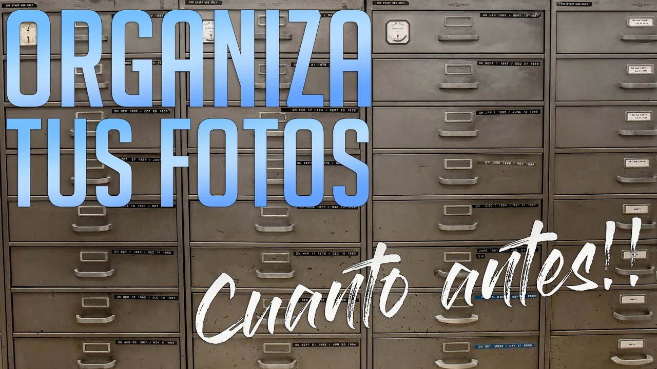Aplicaciones-de-Organizacion-de-Albumes-Fotograficos-Familiares - MT News