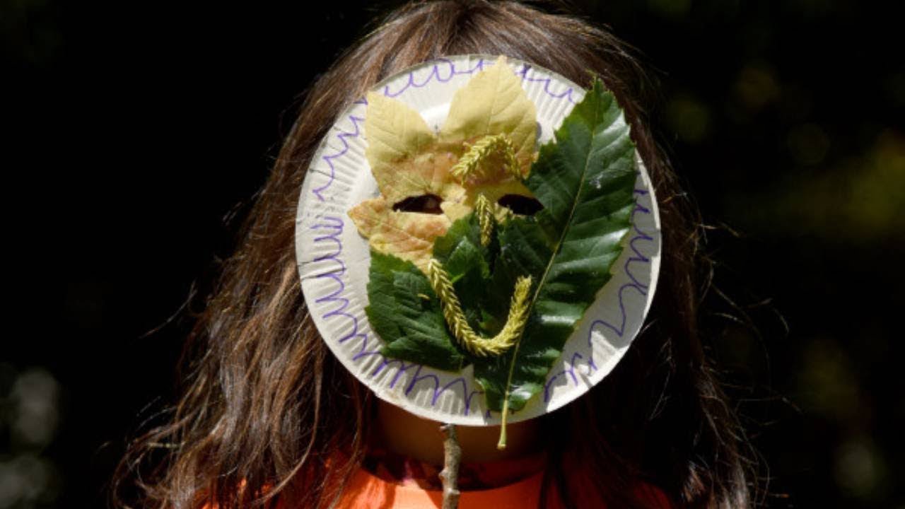 Educacion-en-la-Naturaleza-Aplicaciones-de-Aprendizaje-al-Aire-Libre-1 - MT News