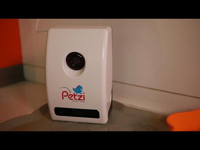 Sistemas-de-Monitoreo-de-Mascotas-a-Distancia-1 - MT News