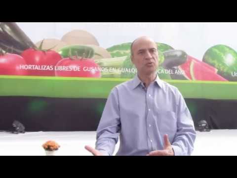 Tecnologia-de-Control-de-Plagas-para-un-Hogar-Saludable - MT News