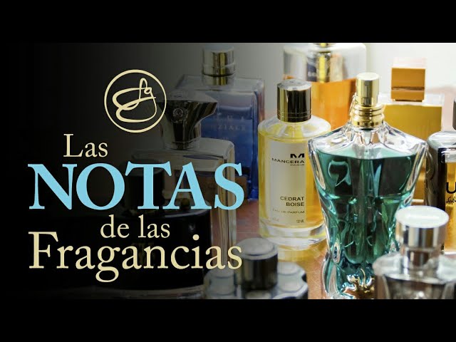 Tecnologia-de-Reconocimiento-de-Olores-Aplicaciones-en-el-Diseno-de-Perfumes - MT News
