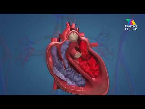 Cuida-tu-Corazon-Aplicaciones-Android-para-la-Salud-Cardiovascular - MT News