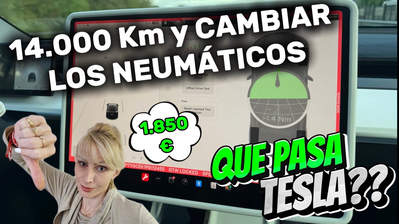 Problemas de Vibración en el Model Y: Analizando Informes de Conductores