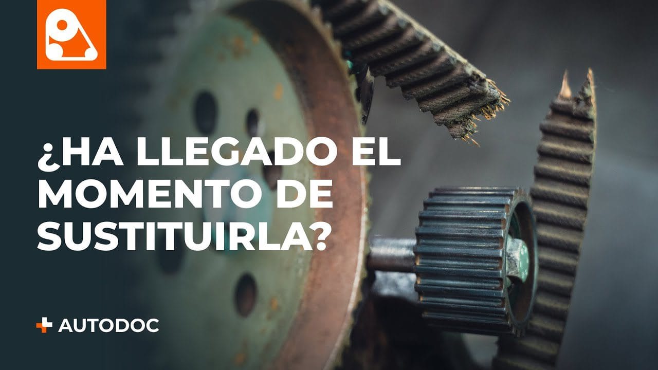 Problemas de Desgaste de la Correa de Distribución: Evaluación de Componentes del Motor
