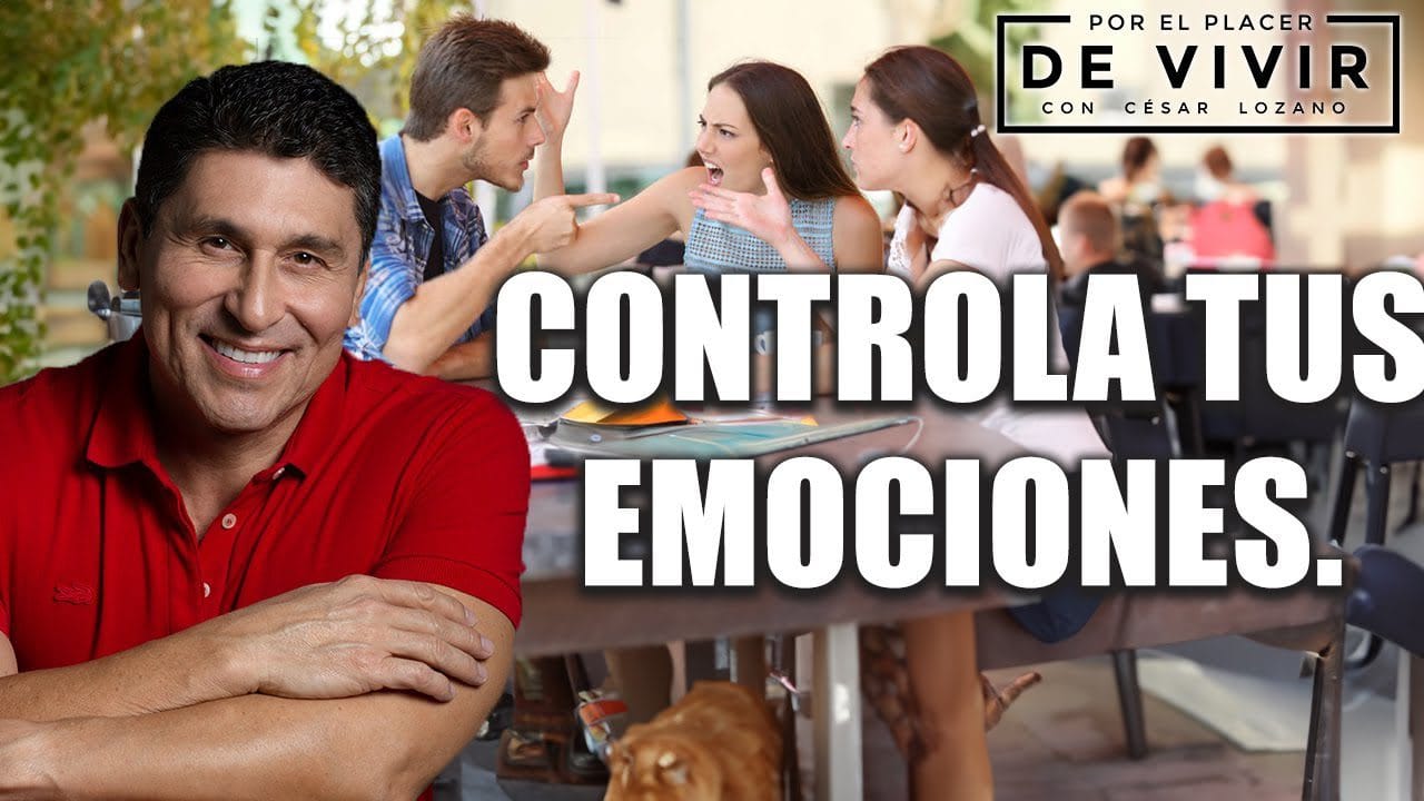 Cero Emisiones Cien Emociones: Model Y y el Placer de Conducir