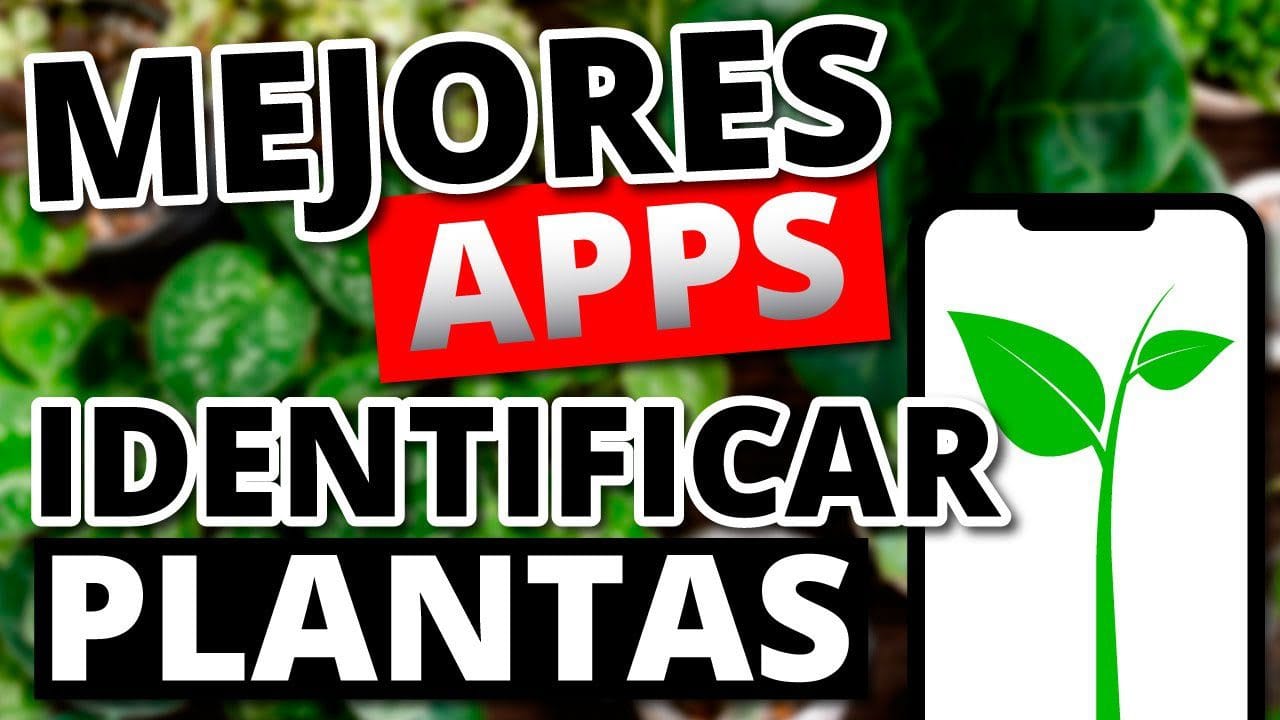 Las-mejores-aplicaciones-para-cuidar-plantas-desde-Android - MT News Las mejores aplicaciones para cuidar plantas desde Android