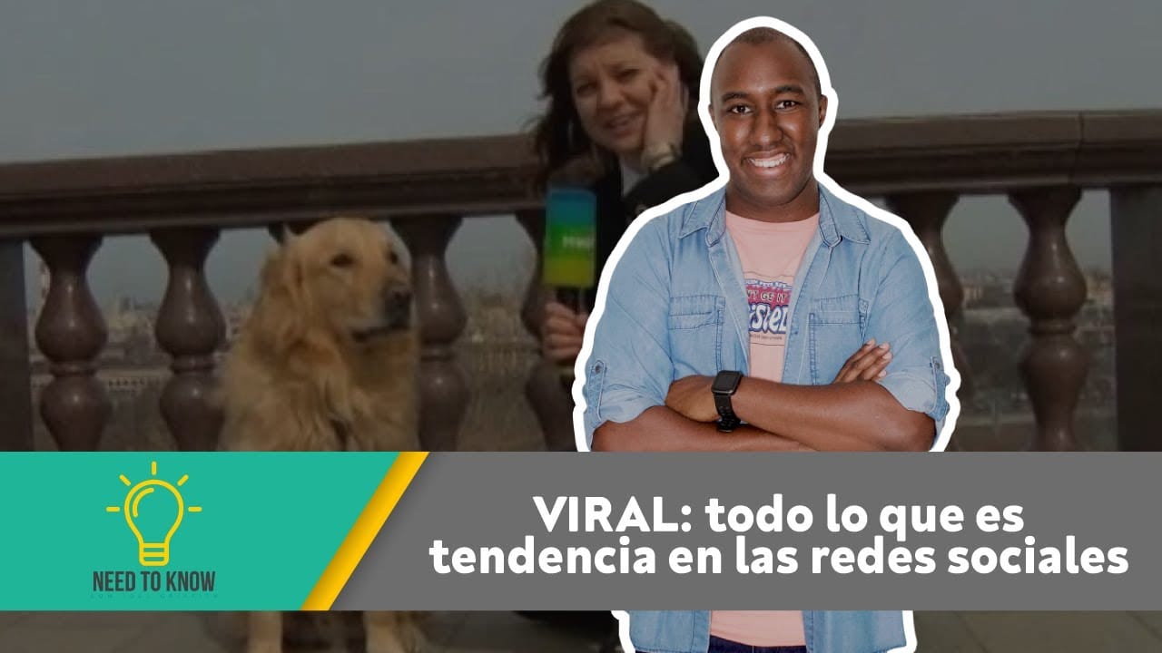 qué significa una noticia viral en Las noticias más curiosas de Internet
