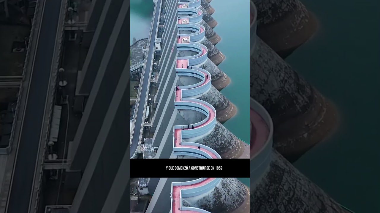 que-significa-una-noticia-viral-en-Historias-virales-mas-sorprendentes - MT News qué significa una noticia viral en Historias virales más sorprendentes