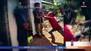 Qué desafíos enfrenta la verificación de noticias en Internet: Historias virales más sorprendentes